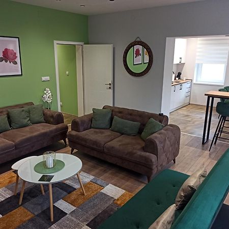 Apartamento Dream House Vrsac Exterior foto